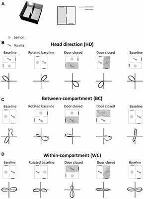 Landmark-Based Updating of the Head Direction System by Retrosplenial Cortex: A Computational Model